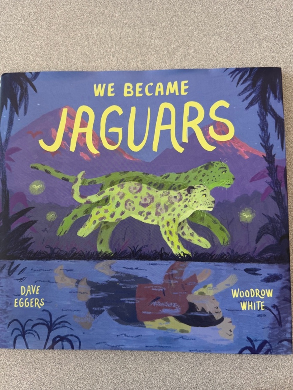 We Became Jaguars Illustrated Children's Picture Book School Classroom Kids